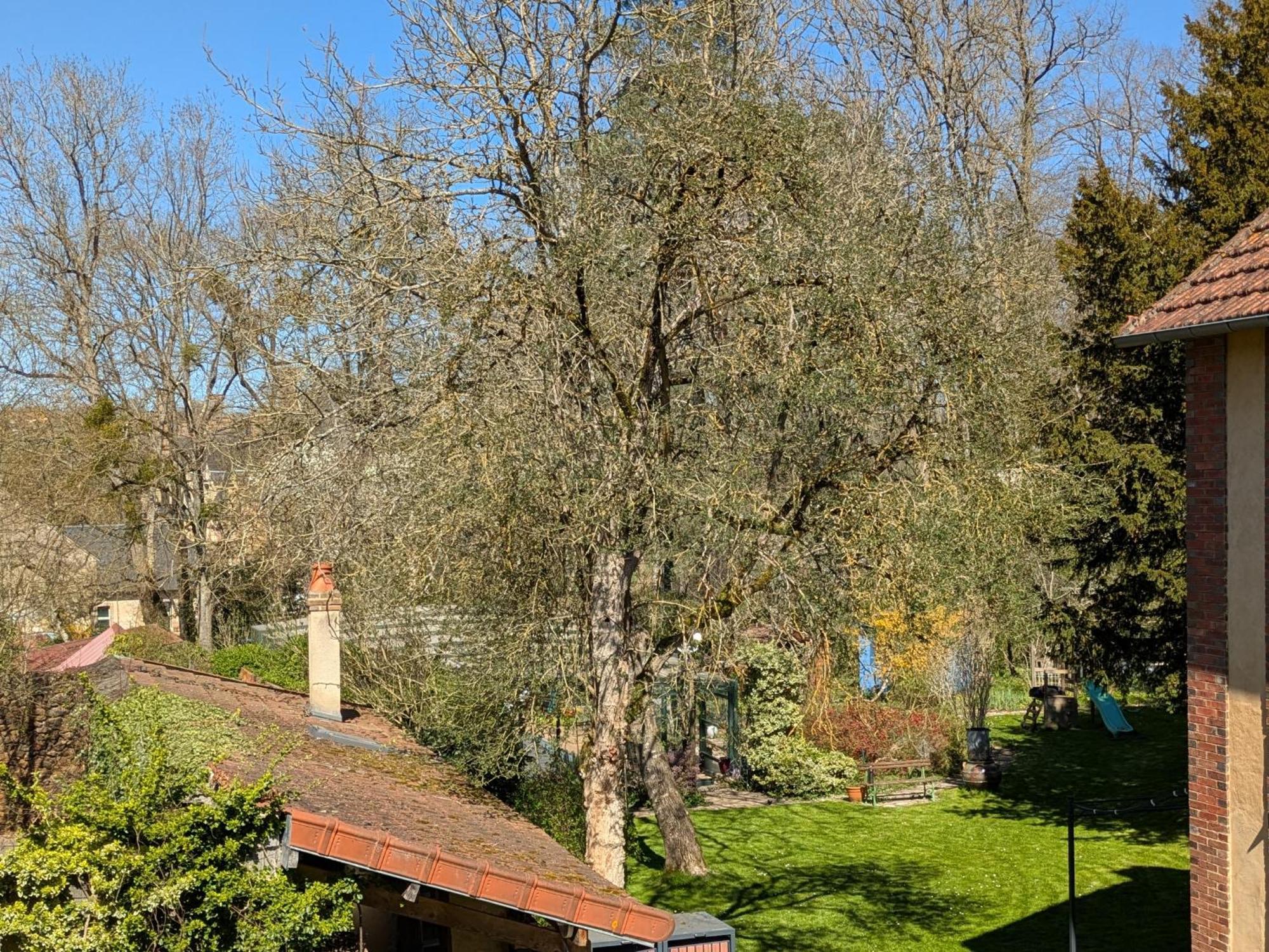 La Maison D'A Cote Saint-Amand-en-Puisaye Exterior photo